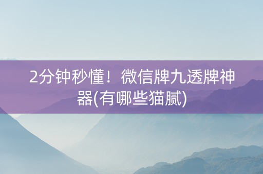 2分钟秒懂！微信牌九透牌神器(有哪些猫腻)