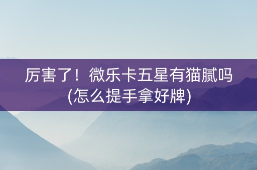 厉害了！微乐卡五星有猫腻吗(怎么提手拿好牌)