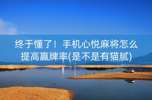 终于懂了！手机心悦麻将怎么提高赢牌率(是不是有猫腻)