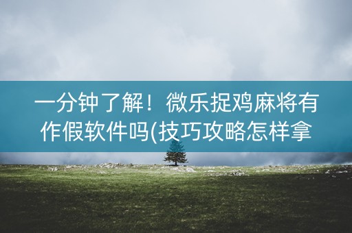 一分钟了解！微乐捉鸡麻将有作假软件吗(技巧攻略怎样拿好牌)