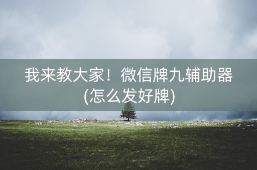 我来教大家！微信牌九辅助器(怎么发好牌)