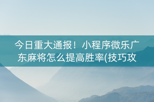 今日重大通报！小程序微乐广东麻将怎么提高胜率(技巧攻略怎样拿好牌)