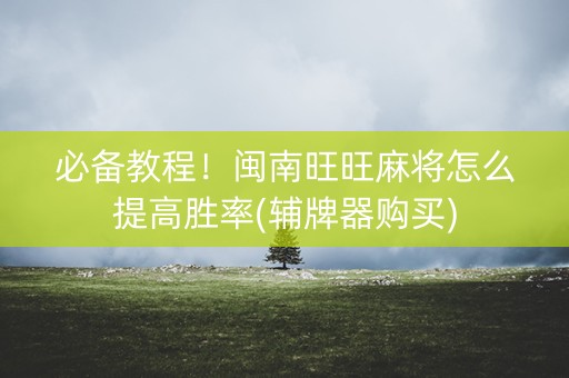 必备教程！闽南旺旺麻将怎么提高胜率(辅牌器购买)
