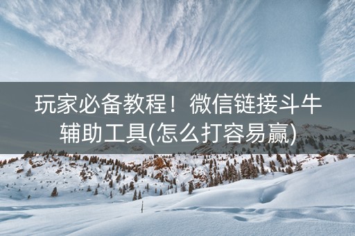 玩家必备教程！微信链接斗牛辅助工具(怎么打容易赢)