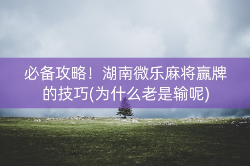 必备攻略！湖南微乐麻将赢牌的技巧(为什么老是输呢)