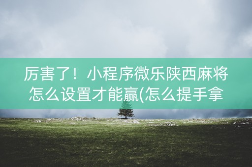 厉害了！小程序微乐陕西麻将怎么设置才能赢(怎么提手拿好牌)