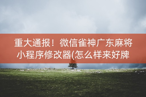 重大通报！微信雀神广东麻将小程序修改器(怎么样来好牌)