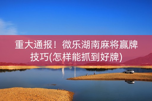 重大通报！微乐湖南麻将赢牌技巧(怎样能抓到好牌)
