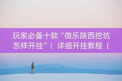 玩家必备十款“微乐陕西挖坑怎样开挂”！详细开挂教程（确实真的有挂)-知乎