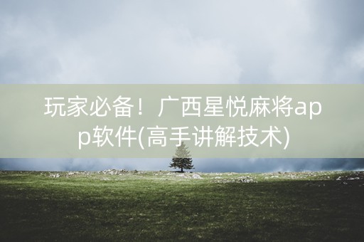 玩家必备！广西星悦麻将app软件(高手讲解技术)