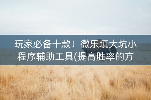 玩家必备十款！微乐填大坑小程序辅助工具(提高胜率的方法)