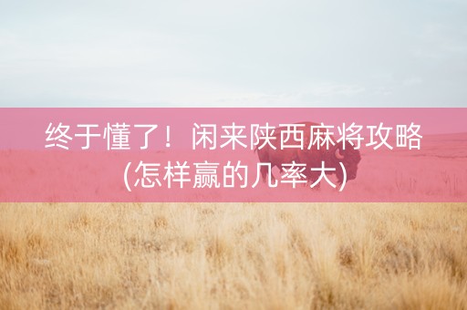 终于懂了！闲来陕西麻将攻略(怎样赢的几率大)