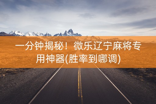 一分钟揭秘！微乐辽宁麻将专用神器(胜率到哪调)