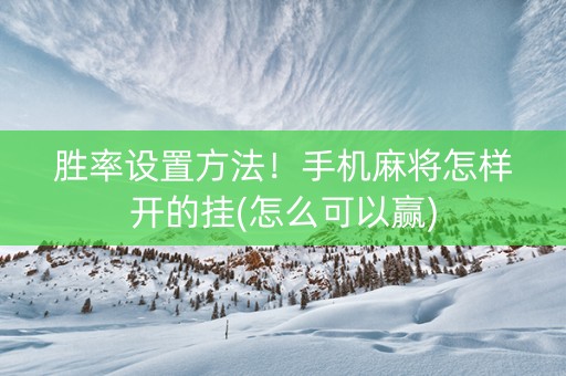 胜率设置方法！手机麻将怎样开的挂(怎么可以赢)