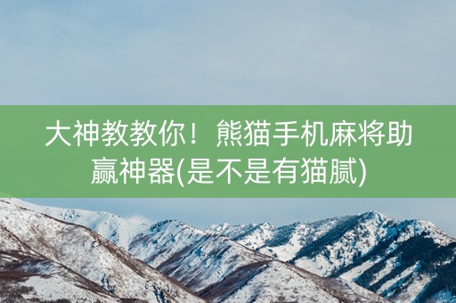大神教教你！熊猫手机麻将助赢神器(是不是有猫腻)