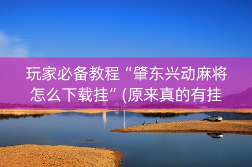 玩家必备教程“肇东兴动麻将怎么下载挂”(原来真的有挂)-知乎