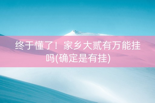 终于懂了！家乡大贰有万能挂吗(确定是有挂)
