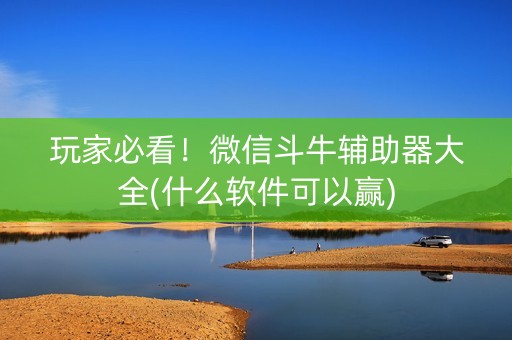 玩家必看！微信斗牛辅助器大全(什么软件可以赢)