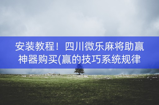 安装教程！四川微乐麻将助赢神器购买(赢的技巧系统规律)