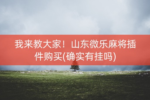 我来教大家！山东微乐麻将插件购买(确实有挂吗)