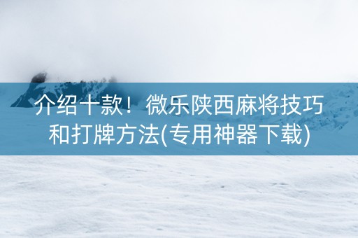 介绍十款！微乐陕西麻将技巧和打牌方法(专用神器下载)