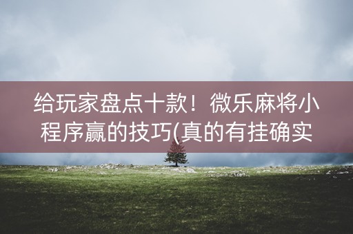 给玩家盘点十款！微乐麻将小程序赢的技巧(真的有挂确实有挂)