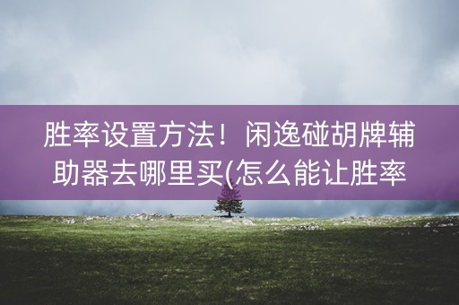 胜率设置方法！闲逸碰胡牌辅助器去哪里买(怎么能让胜率高)