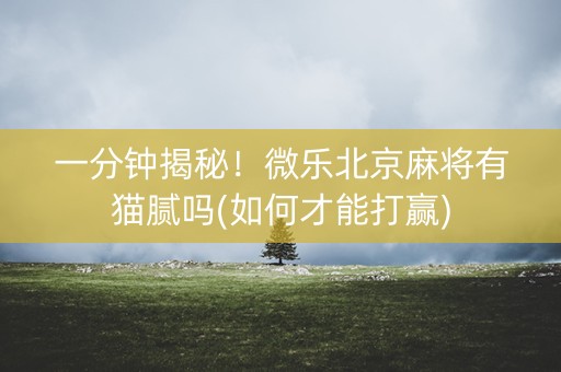 一分钟揭秘！微乐北京麻将有猫腻吗(如何才能打赢)
