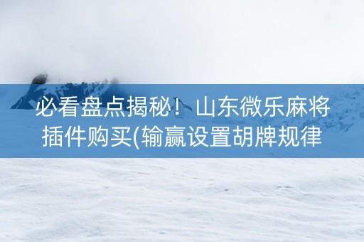 必看盘点揭秘！山东微乐麻将插件购买(输赢设置胡牌规律)