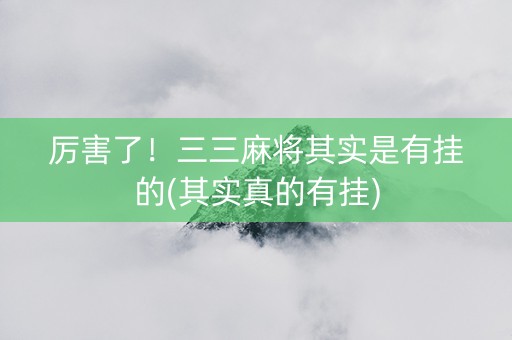 厉害了！三三麻将其实是有挂的(其实真的有挂)