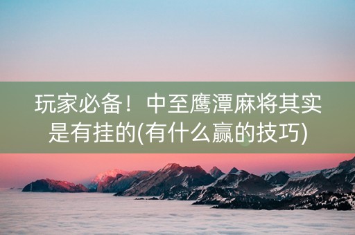 玩家必备！中至鹰潭麻将其实是有挂的(有什么赢的技巧)