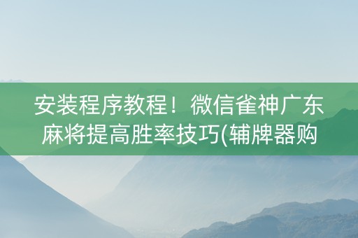 安装程序教程！微信雀神广东麻将提高胜率技巧(辅牌器购买)
