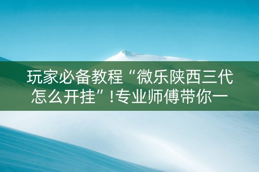 玩家必备教程“微乐陕西三代怎么开挂”!专业师傅带你一起了解（详细教程）-知乎