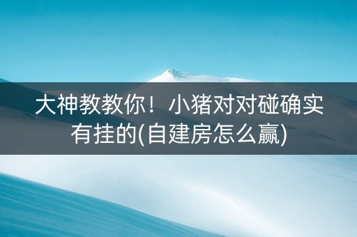大神教教你！小猪对对碰确实有挂的(自建房怎么赢)