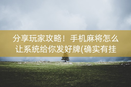 分享玩家攻略！手机麻将怎么让系统给你发好牌(确实有挂吗)