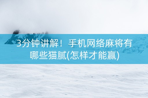 3分钟讲解！手机网络麻将有哪些猫腻(怎样才能赢)