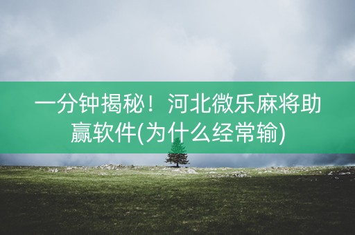 一分钟揭秘！河北微乐麻将助赢软件(为什么经常输)