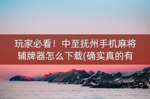 玩家必看！中至抚州手机麻将辅牌器怎么下载(确实真的有挂)