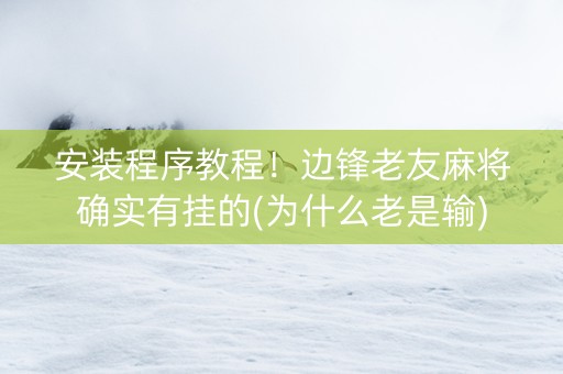 安装程序教程！边锋老友麻将确实有挂的(为什么老是输)