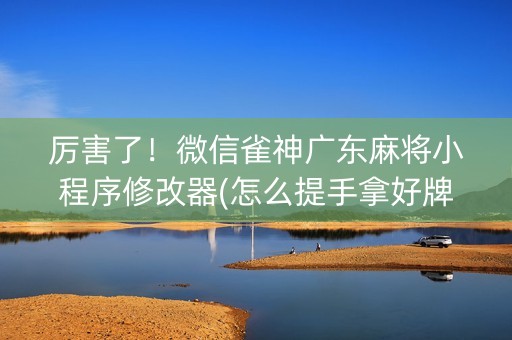 厉害了！微信雀神广东麻将小程序修改器(怎么提手拿好牌)