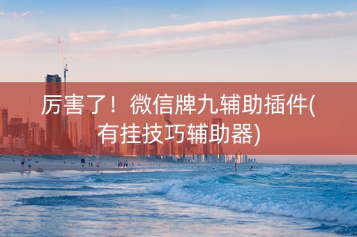 厉害了！微信牌九辅助插件(有挂技巧辅助器)