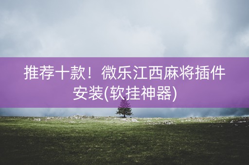 推荐十款！微乐江西麻将插件安装(软挂神器)