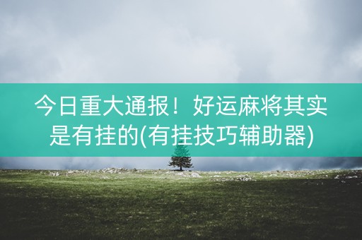 今日重大通报！好运麻将其实是有挂的(有挂技巧辅助器)