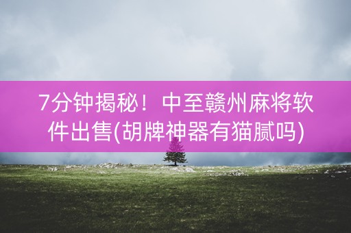7分钟揭秘！中至赣州麻将软件出售(胡牌神器有猫腻吗)