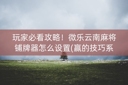 玩家必看攻略！微乐云南麻将铺牌器怎么设置(赢的技巧系统规律)