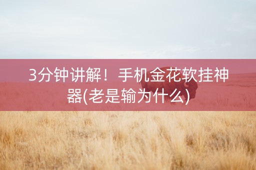 3分钟讲解！手机金花软挂神器(老是输为什么)