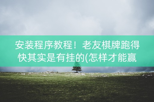 安装程序教程！老友棋牌跑得快其实是有挂的(怎样才能赢)