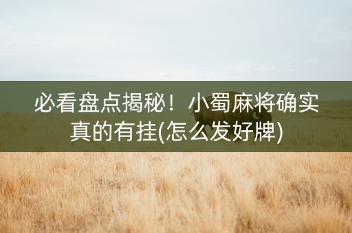 必看盘点揭秘！小蜀麻将确实真的有挂(怎么发好牌)