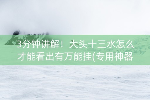 3分钟讲解！大头十三水怎么才能看出有万能挂(专用神器下载)