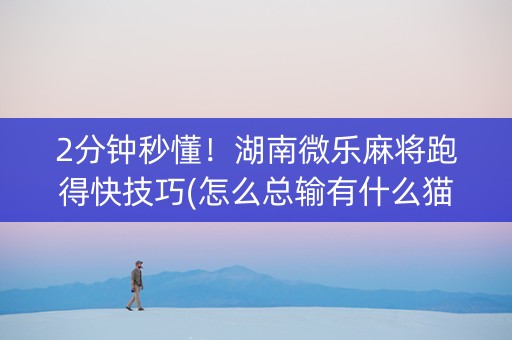 2分钟秒懂！湖南微乐麻将跑得快技巧(怎么总输有什么猫腻)